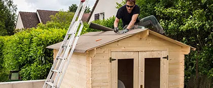 Abri de jardin en bois